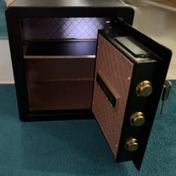 INEO SF02 — photo réelle, porte ouverte et étagère intérieure